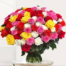 Mixed Rose Flower Seeds Rare Blooming Plants Balcony and Patio Gardening Colorful Landscape Heirloom Non-GMO Seeds -