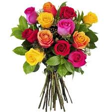 Mixed Rose Flower Seeds Rare Blooming Plants Balcony and Patio Gardening Colorful Landscape Heirloom Non-GMO Seeds -