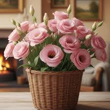 Pink Estoma Flower Seeds for - Heirloom Non GMO Premium Garden Seeds for Planting, High Germination Outdoor Plants