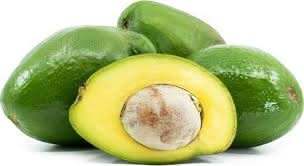 choquette avocado fruit for planting and growing butter at your home backyard orchid Fruit seeds