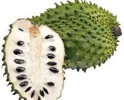 white pulp soursop fruit for planting known its health benefits heirloom plant Fruit seeds