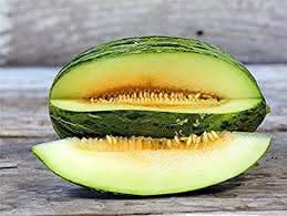 piel de sapo muskmelon fruit for planting classic sweet melon beautiful home gardens Fruit seeds