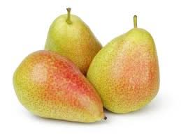 forelle pear fruit for planting unique shaped melon your yard heirloom Fruit seeds
