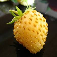 yellow strawberry fruit for planting sweet and juicy heirloom non gmo Fruit seeds
