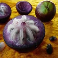 purple star apple fruit for planting tropical your garden Fruit seeds