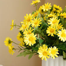 Yellow Daisy Flower Seeds
