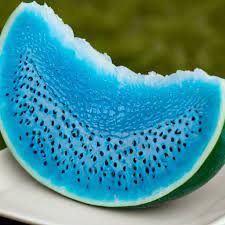 Sky Blue Watermelon Fruit Easy To Grow High Yielding Variety For Landscape Fruit Seeds