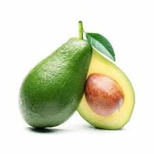 heirloom avocado or butter fruit for planting grow organic at your backyard orchid Fruit seeds
