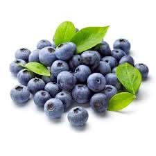 blueberry fruit for planting delicious berry harvests organic Fruit seeds