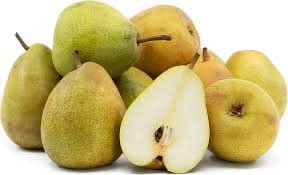 french butter pear fruit for planting classic juicy sweet green heirloom Fruit seeds