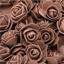 Brown Rose Flower Seeds Exotic Flowering Plants Seeds Heirloom Non-GMO Premium Organic Garden Seeds