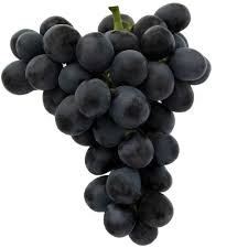 Black Grape Fruit For Abundant And Juicy Harvests For Landscape Fruit Seeds