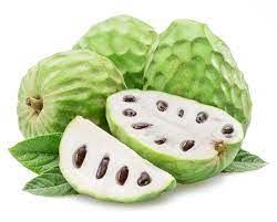 cherimoya annona cherimola or ice cream fruit for planting variety of apple trees homegrown apples seeds
