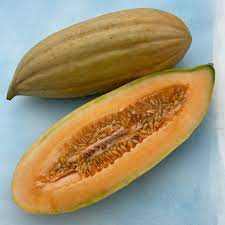 Gold Banana Melon Fruit Variety Your Fruit Seeds