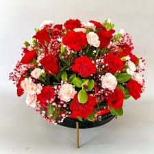 Mixed Carnation Flower Seeds