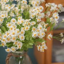 White Chamelaucium Flower Seeds