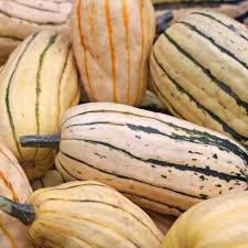 Delicata Sweet Potato Squash Seeds & Seeds