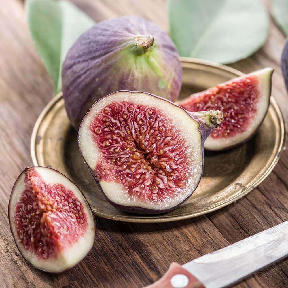 four seasons sweet honey fig ideal seeds