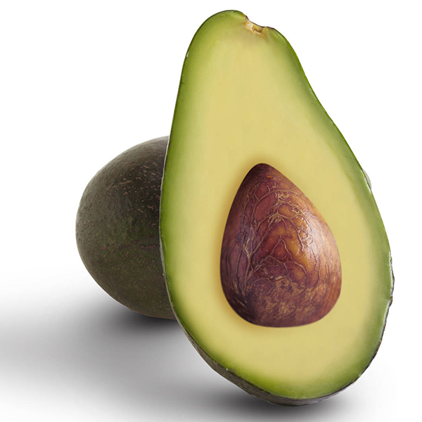 Fuerte Avocado Fruit Tropical Gardens Creamy Green Fruits Fruit Seeds