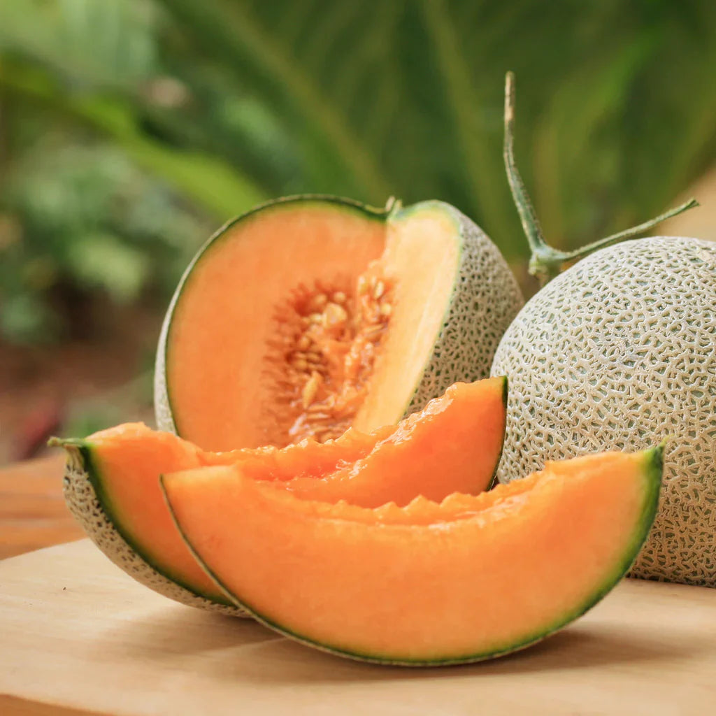 hale s best organic melon classic net rind sweet cantaloupe high Fruit Seeds organic garden seeds