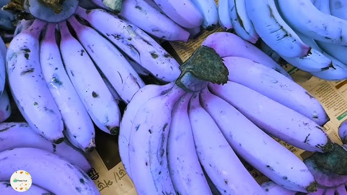 Banana Fruit Violet Variety Unique Tropical Fruits For Backyard Fruit Seeds