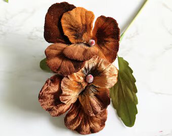 Brown Pansy Flower Seeds
