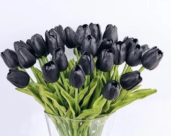 Black Tulip Flower Seeds