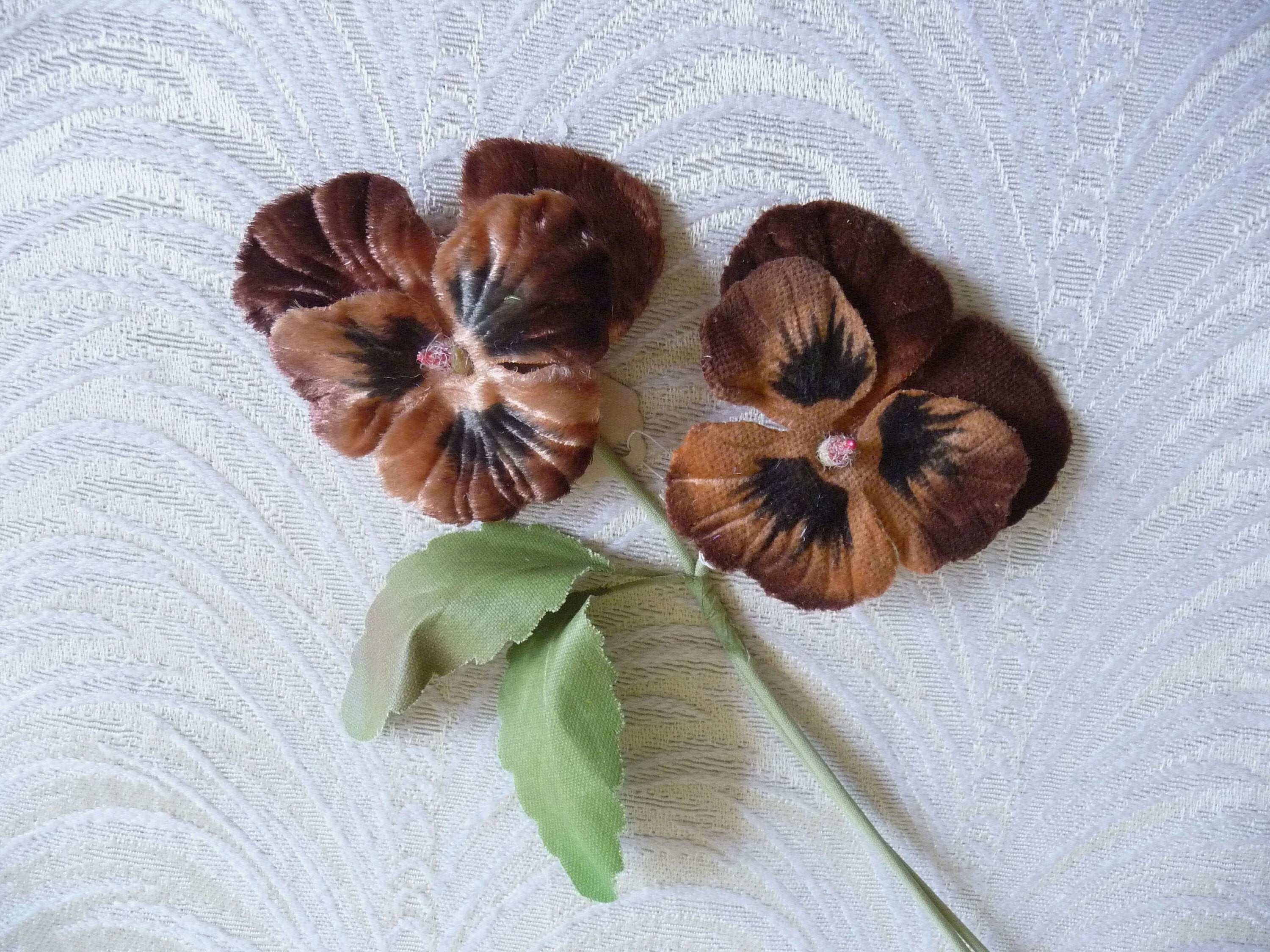 Brown Rose Flower Seeds - Heirloom Non GMO Premium Garden Seeds for Planting