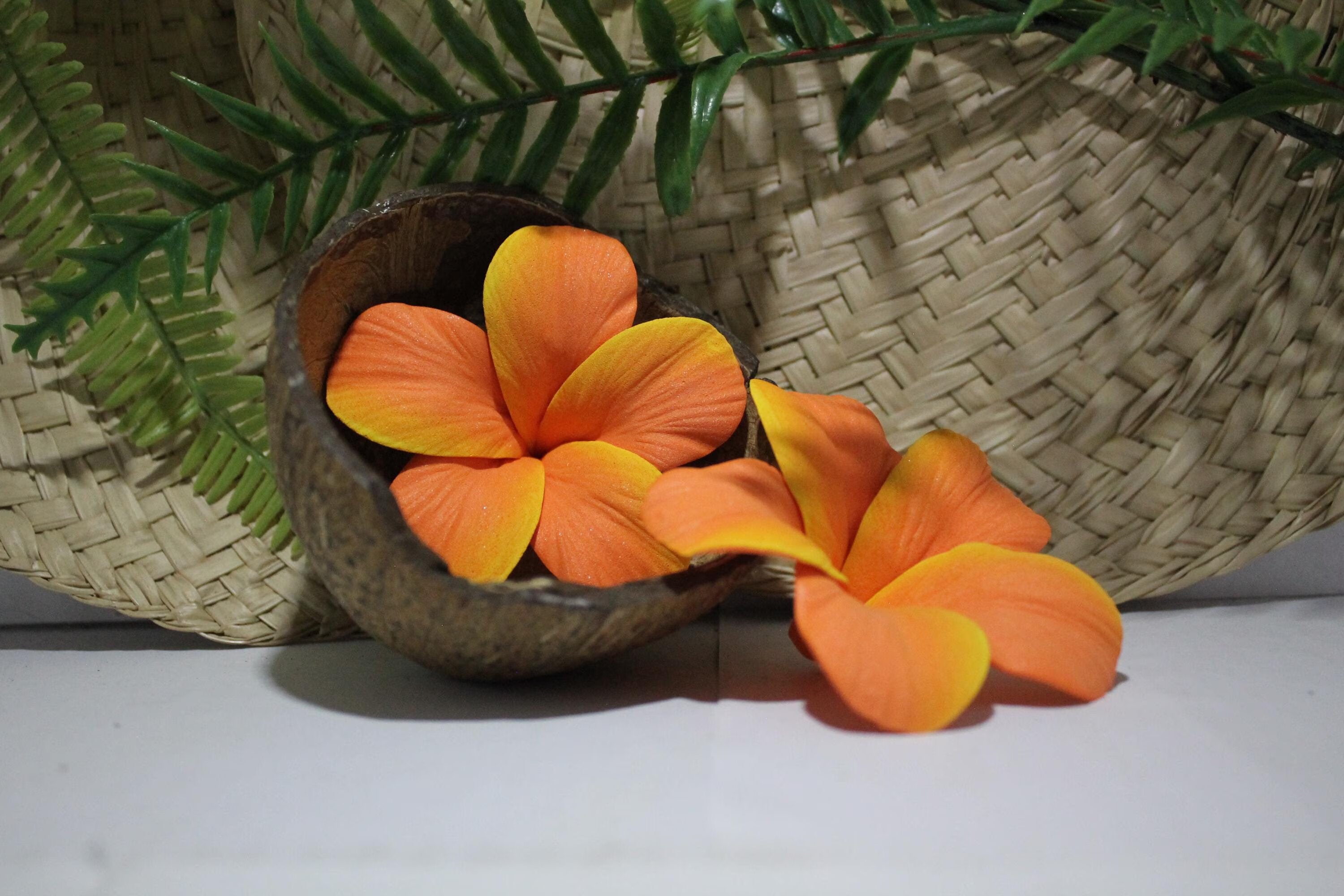 Orange Plumeria Flower Seeds
