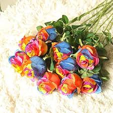 Rainbow Rose Diy Garden Beautiful Striped Bushes Flower Seeds