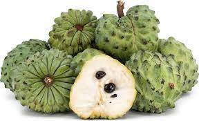 sweet sop or sugar apple fruit for planting high quality non gmo Fruit seeds