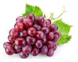 ruby seedless grapes fruit for planting classic and timeless flavor heirloom Fruit seeds