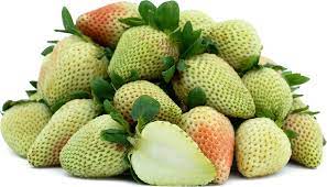 Light Green Strawberry Fruit For Growing Sweet And Nutritious Strawberries Fruit Seeds
