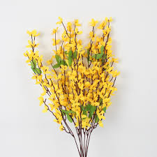 forsythia flower seeds flower