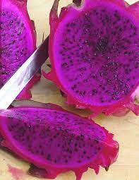Pitaya Fruit Purple Variety Vibrant Gardens For Backyard Fruit Seeds