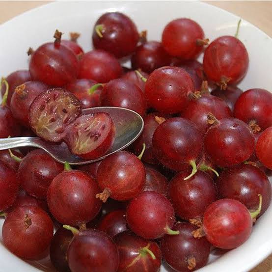 Red Grosella Fruit Seeds Red