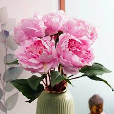 Pink Light Peony Flower Seeds