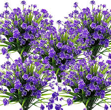 Blue Daffodil Flower Seeds