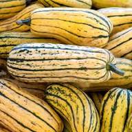 Delicata Striped Squash Seeds for Planting