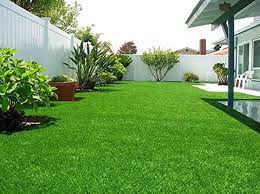 Green Lawn Grass Fresh Soft Lawn And Natural