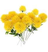 Yellow Dandelion Flowers Seeds Heirloom Non GMO High Germination Organic Garden Seeds for Colorful Seeds for Planting -