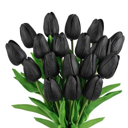Black Tulip Flower Seeds
