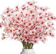 Pink Blossom Flower Flower Seeds - Heirloom Non GMO High Germination Organic Garden Planting Seeds