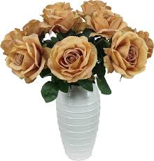Brown Rose Flower Seeds Exotic Flowering Plants Seeds Heirloom Non-GMO Premium Organic Garden Seeds