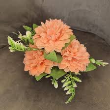 Orange Carnation Flower Seeds