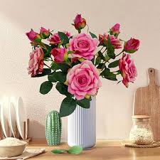 Red Rose Flower Seeds Planting and Growing Exotic Flowering Plants Colorful Backyard Beauty | Non-GMO Seeds Planting - H