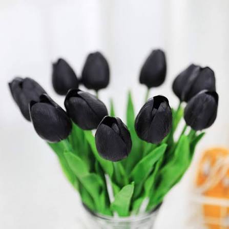 Black Tulip Flower Seeds
