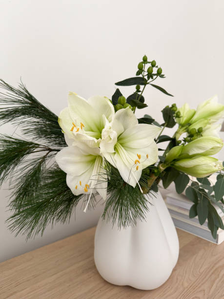 White Amaryllis Flower Seeds – Rare Blooming Plants for Balcony & Outdoor Gardens