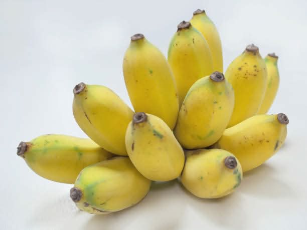 Pisang Awak Dwarf Banana With Large Fruits Fruit Tall And Fruitful Trees Fruit Seeds