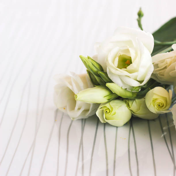 White Perennial Lisianthus Flower Seeds - Heirloom Non GMO High Germination Flower Seeds for Home Garden Planting